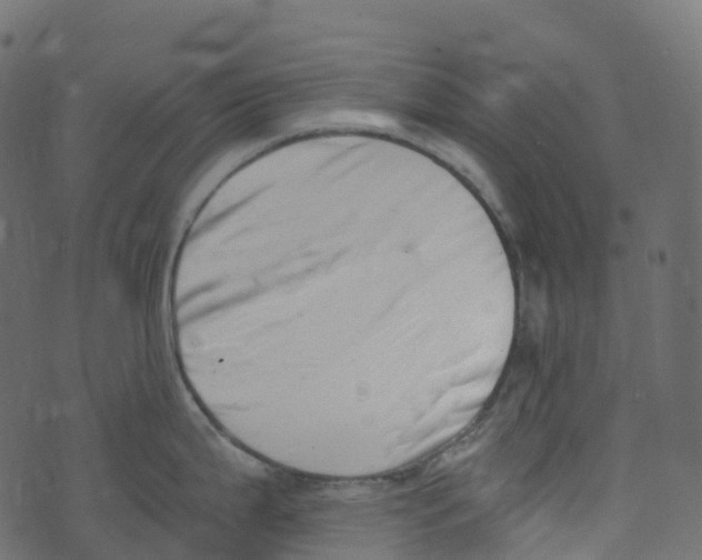 X0000073461199200608251724