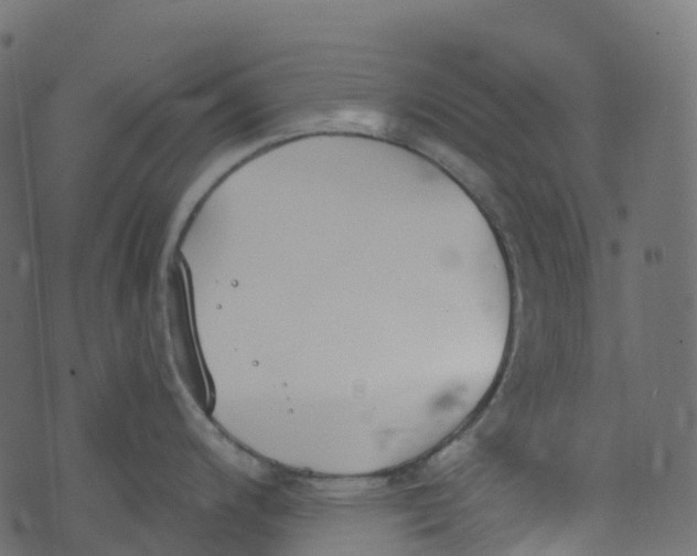 X0000073461200200608251724