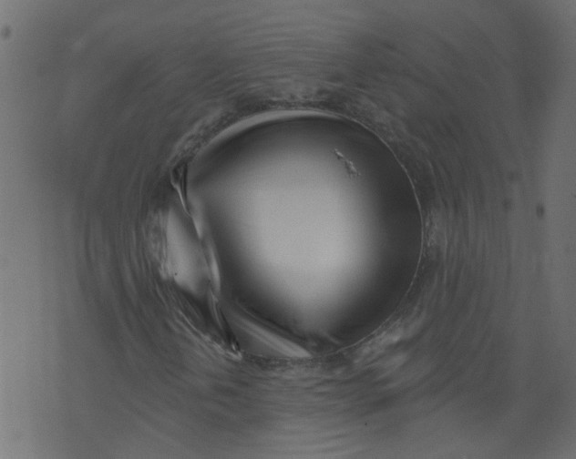 X0000073461202200608251723