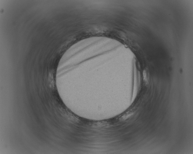 X0000073461203200608251723