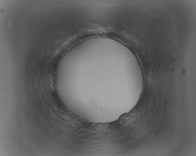 X0000073461205200608251723