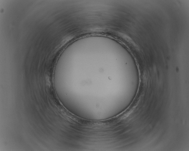 X0000073461209200608251723