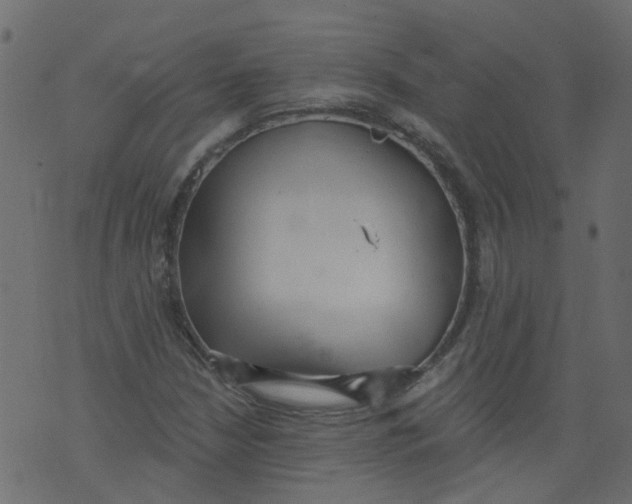 X0000073461210200608251723