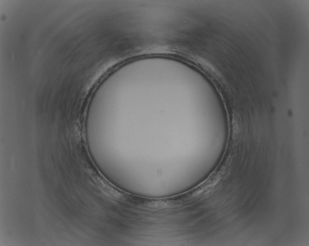 X0000073461212200608251723