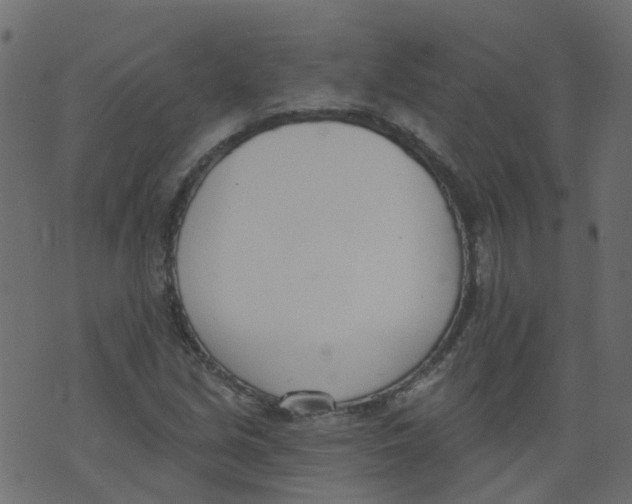 X0000073461213200608251723