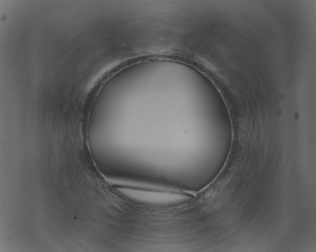 X0000073461214200608251723