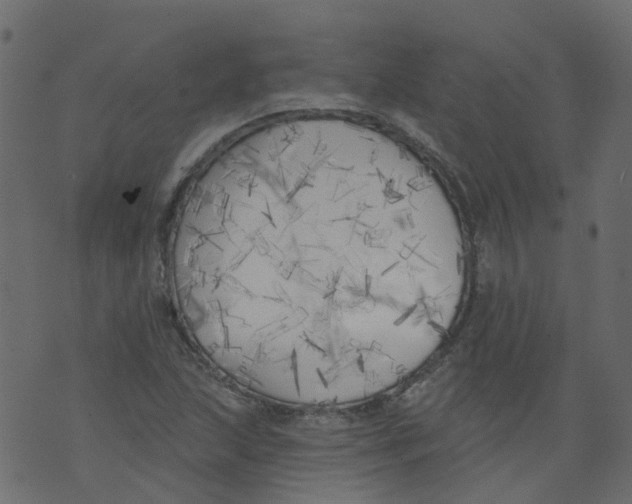 X0000073461215200608251723