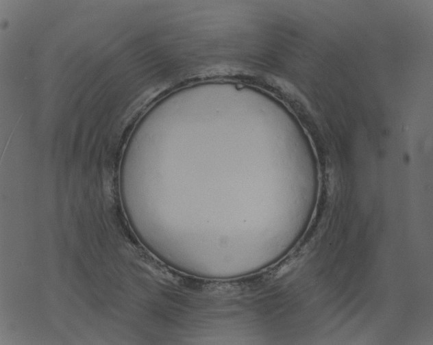 X0000073461217200608251723