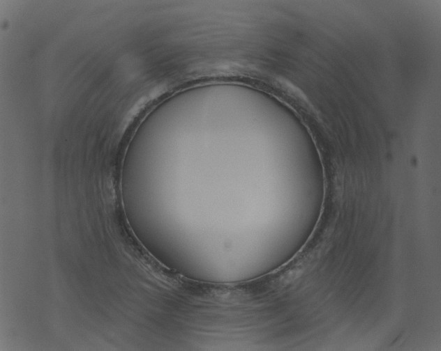 X0000073461218200608251723