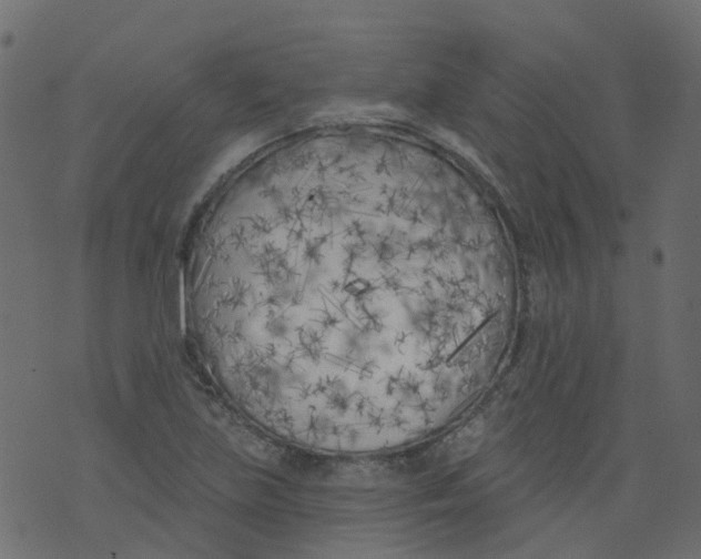 X0000073461219200608251723