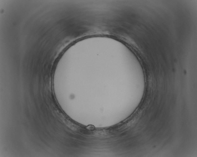 X0000073461220200608251723