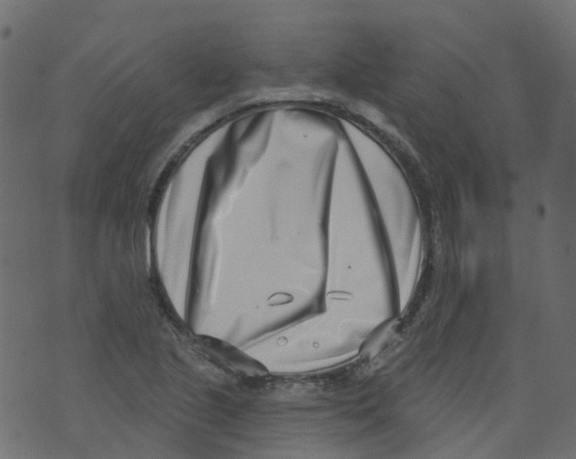 X0000073461221200608251723