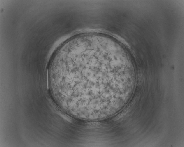 X0000073461223200608251723