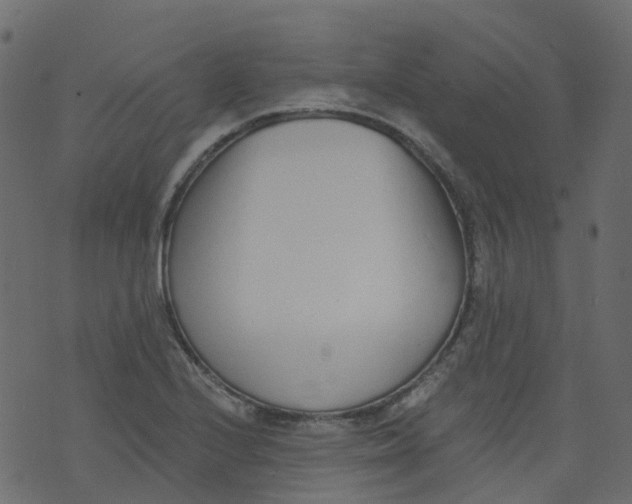 X0000073461224200608251723