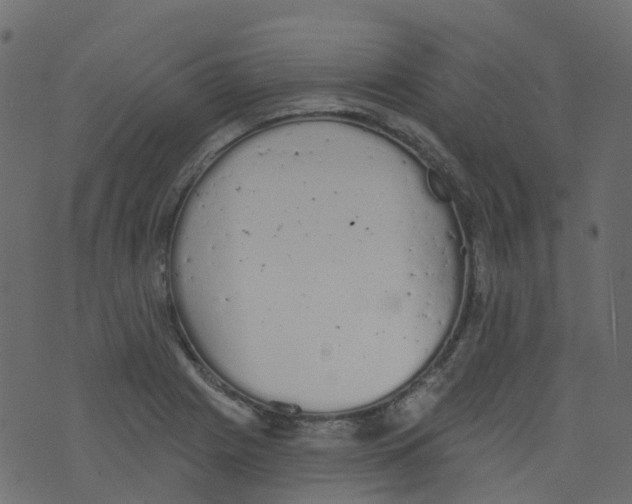 X0000073461225200608251723