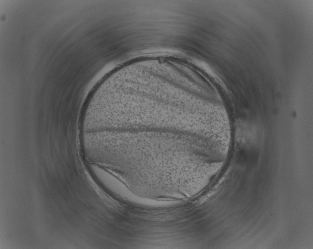 X0000073461229200608251723