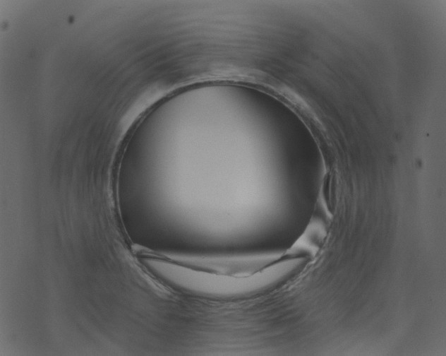 X0000073461230200608251723