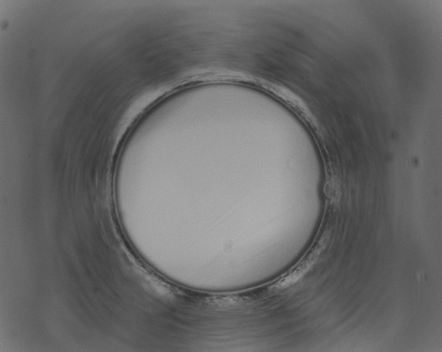 X0000073461231200608251723