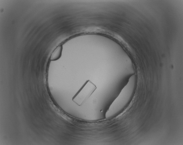 X0000073461232200608251723