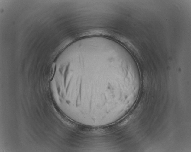 X0000073461233200608251723