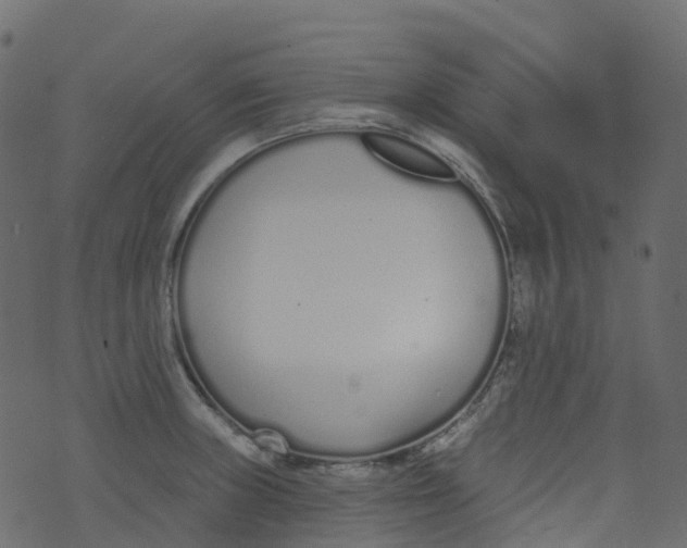 X0000073461235200608251723