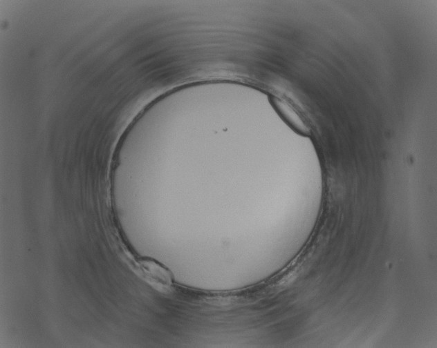 X0000073461236200608251723