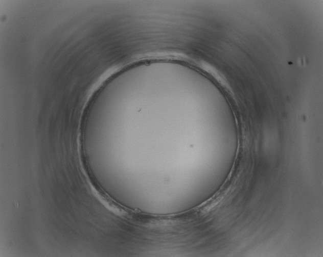 X0000073461237200608251723