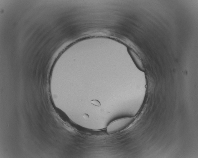 X0000073461240200608251724