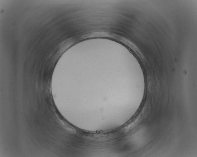 X0000073461241200608251724