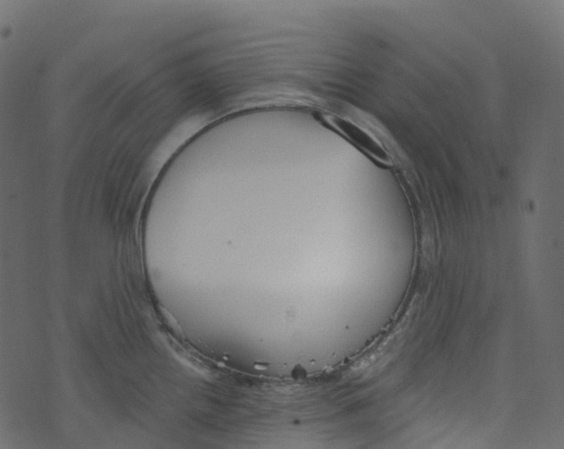 X0000073461242200608251724