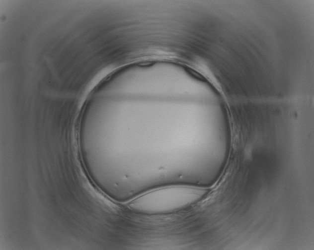 X0000073461243200608251724