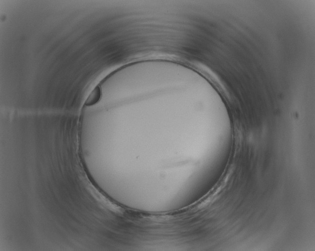 X0000073461244200608251724