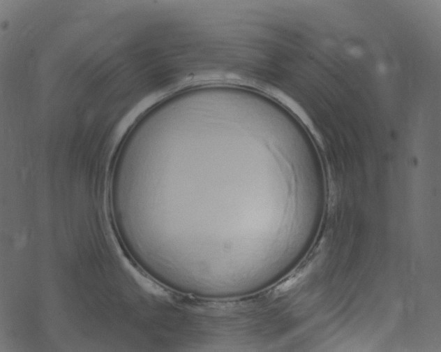 X0000073461245200608251724