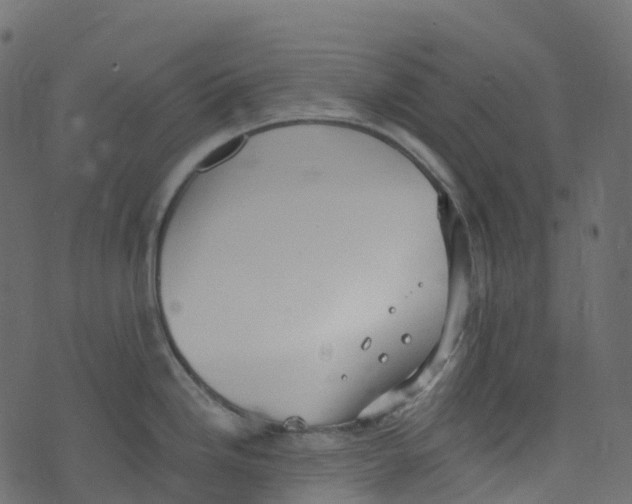 X0000073461246200608251724