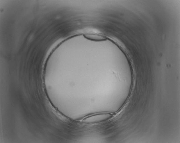 X0000073461248200608251724