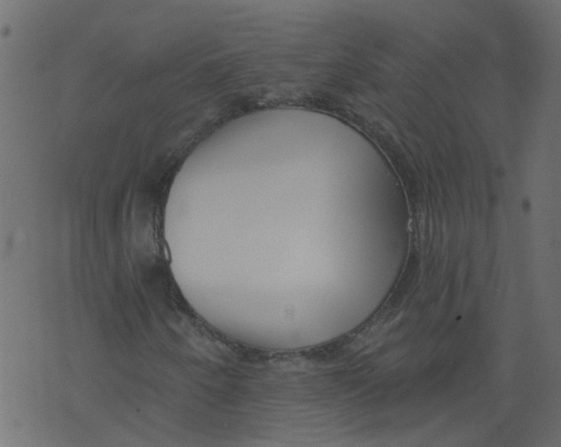 X0000073461250200608251723