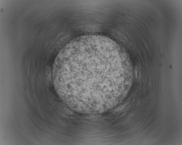 X0000073461251200608251723