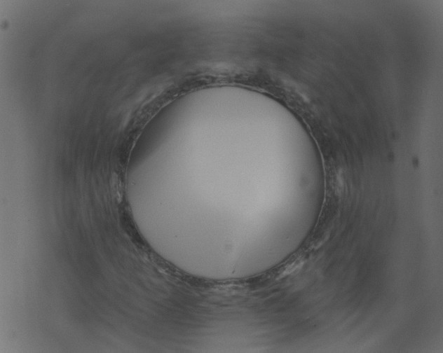 X0000073461253200608251723