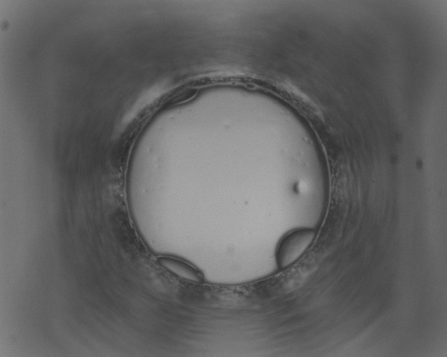 X0000073461255200608251723