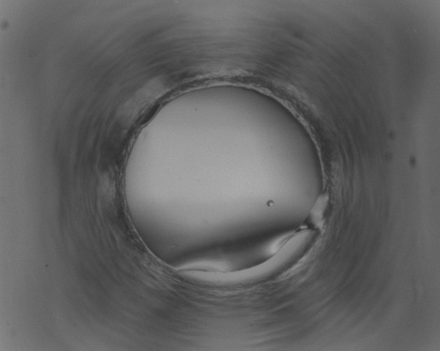 X0000073461257200608251723