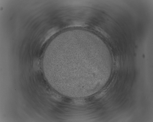 X0000073461258200608251723