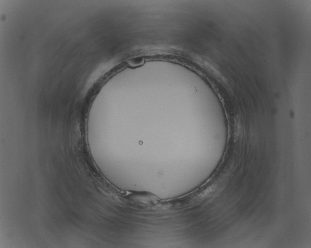 X0000073461261200608251723