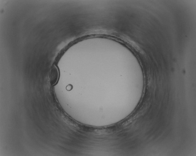 X0000073461264200608251723