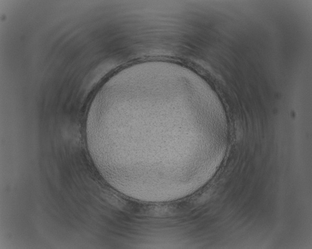 X0000073461266200608251723