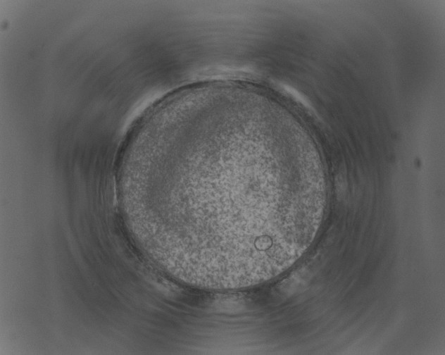 X0000073461267200608251723