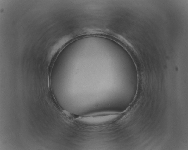 X0000073461269200608251723