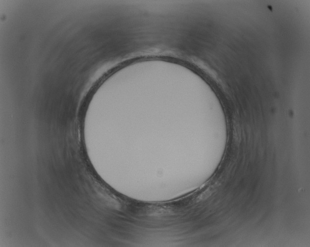 X0000073461270200608251723