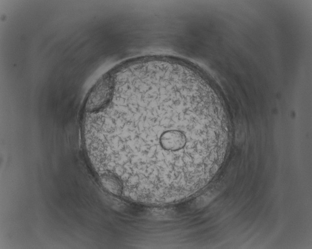 X0000073461271200608251722