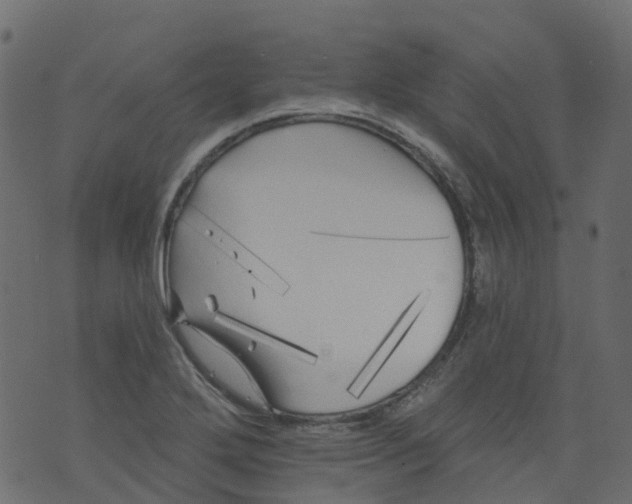 X0000073461272200608251722