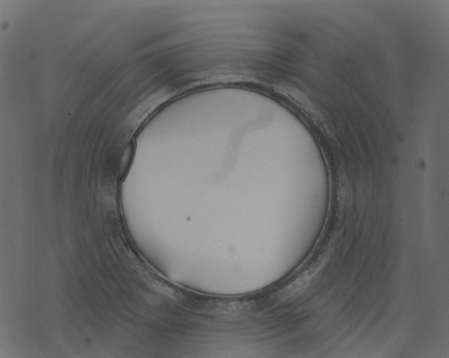 X0000073461273200608251722